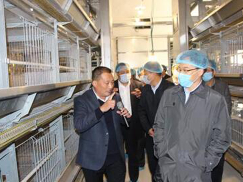 市政府副市長任慶虎帶領(lǐng)全市畜牧業(yè)綠色生態(tài)發(fā)展現(xiàn)場會(huì)與會(huì)人員到次邱鎮(zhèn)觀摩