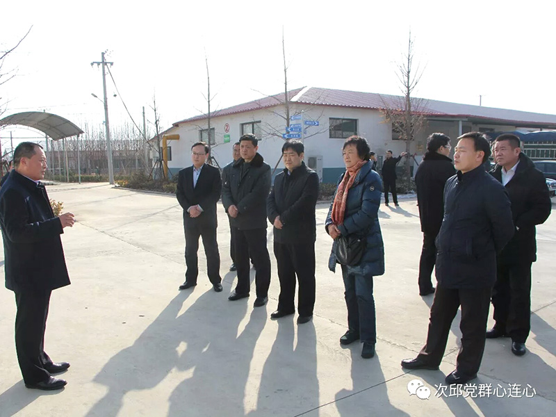 市政協(xié)原副主席、民建市委原主委?；萏m，市人大常委、民建市委副主委周中穩(wěn)一行到我公司調(diào)研蘆花雞養(yǎng)殖發(fā)展情況