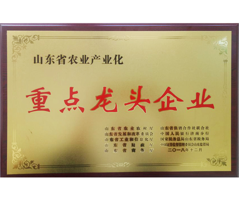 重點龍頭企業